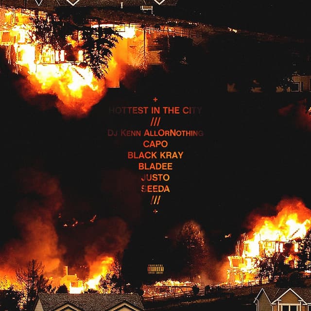 Album cover art for Hottest in the City