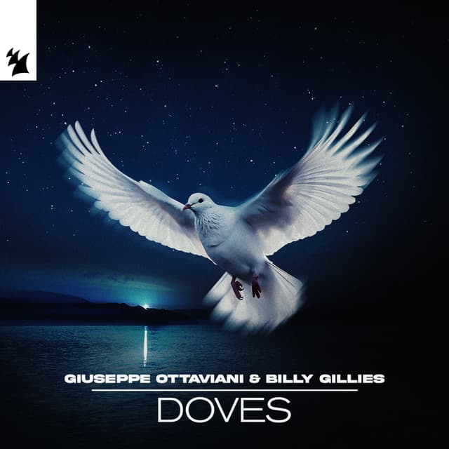 Album cover art for Doves