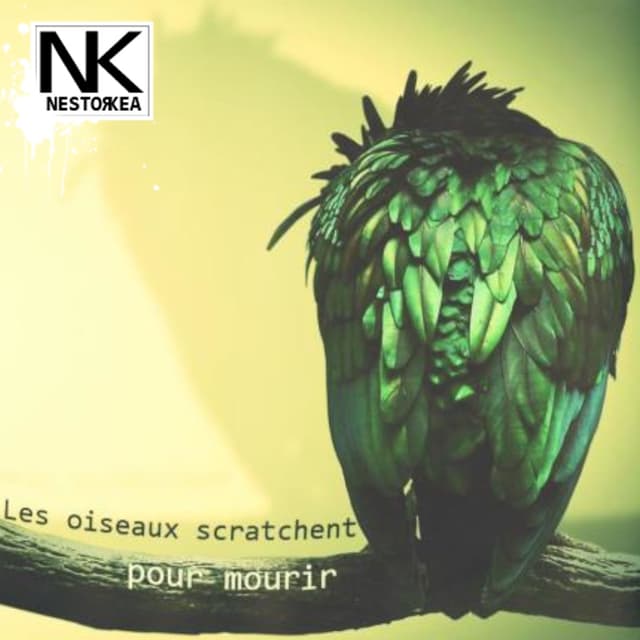 Album cover art for Les oiseaux scratchent pour mourir