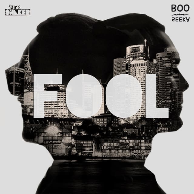 Album cover art for Fool