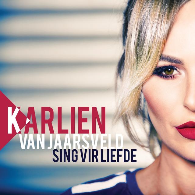 Album cover art for Sing Vir Liefde