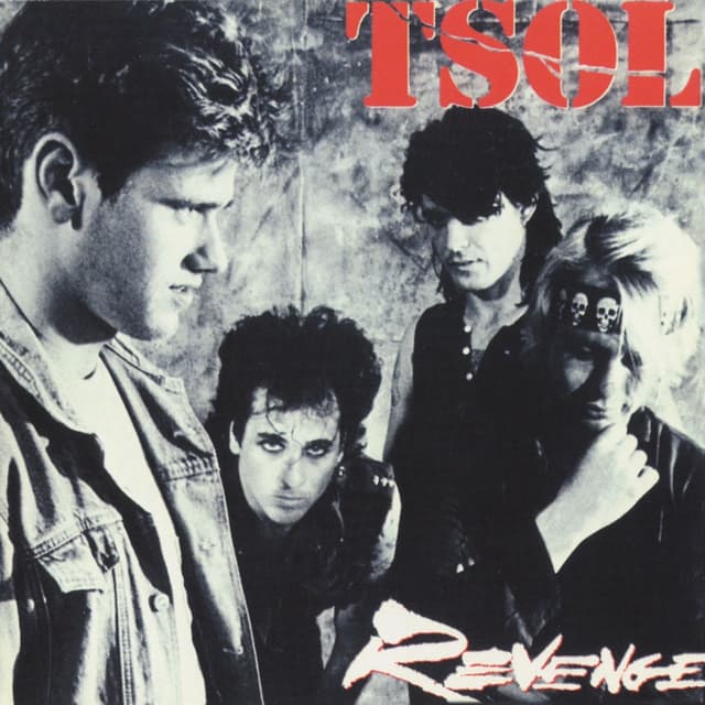 Album cover art for Revenge