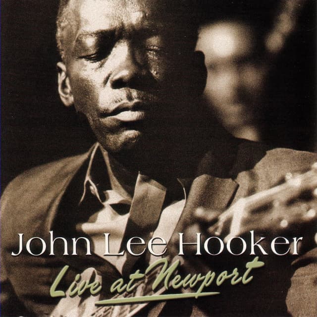 Album cover art for Live At Newport