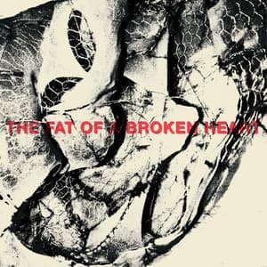 Album cover art for The Fat of a Broken Heart