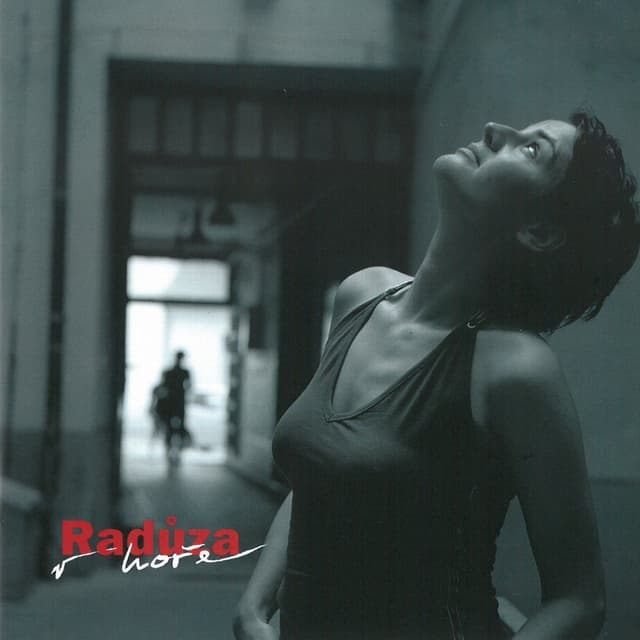 Album cover art for V Hoře