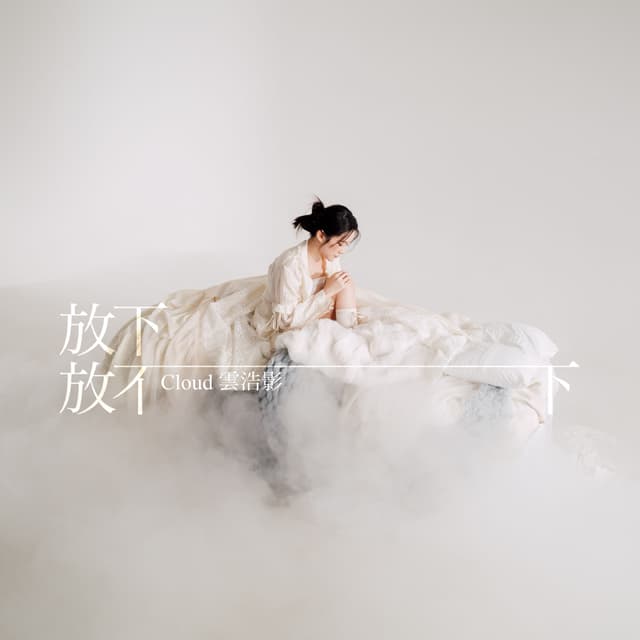 Album cover art for 放下放不下