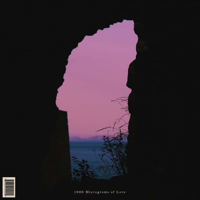 Album cover art for 1000 Micrograms of Love