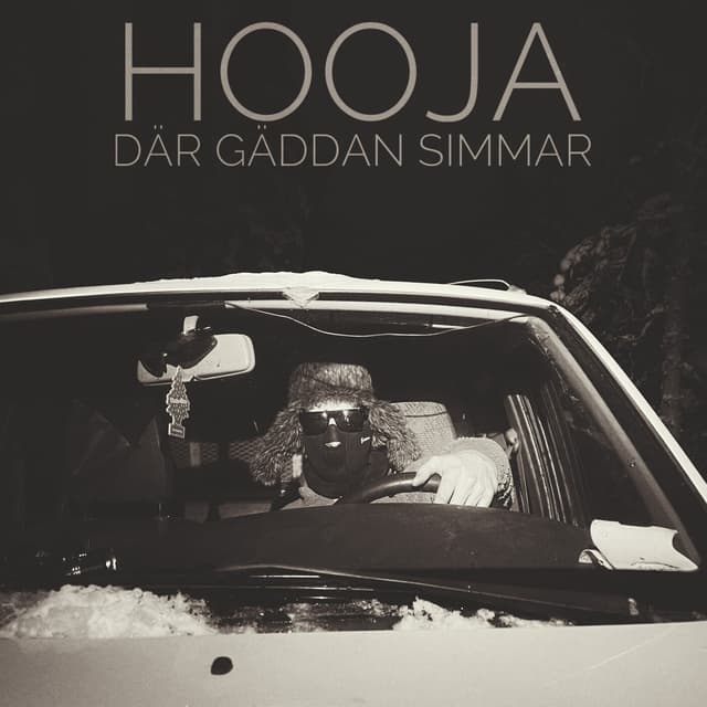 Album cover art for Därs Gäddan Simmar