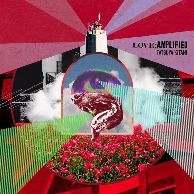 Album cover art for LOVE: AMPLIFIED