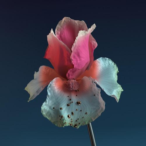 Skin: The Remixes Explicit