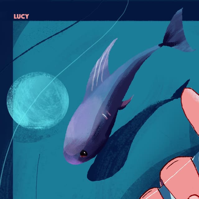 Album cover art for Lucy