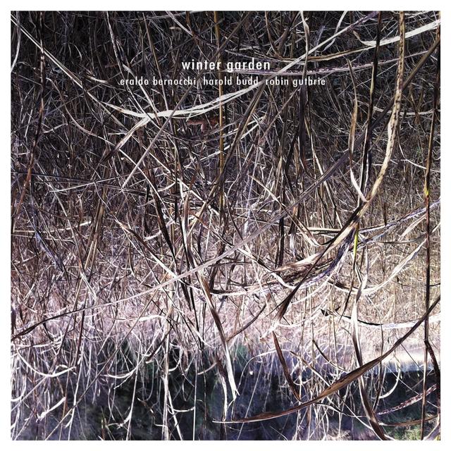 Album cover art for Winter Garden