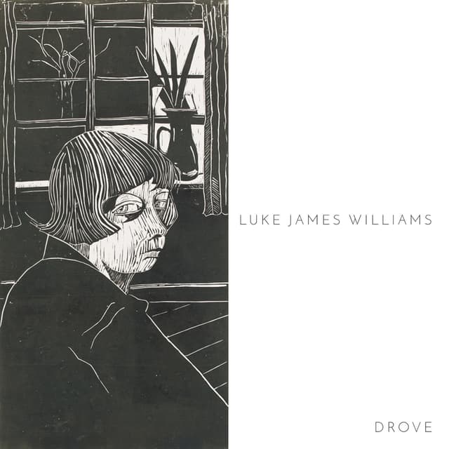 Album cover art for Drove