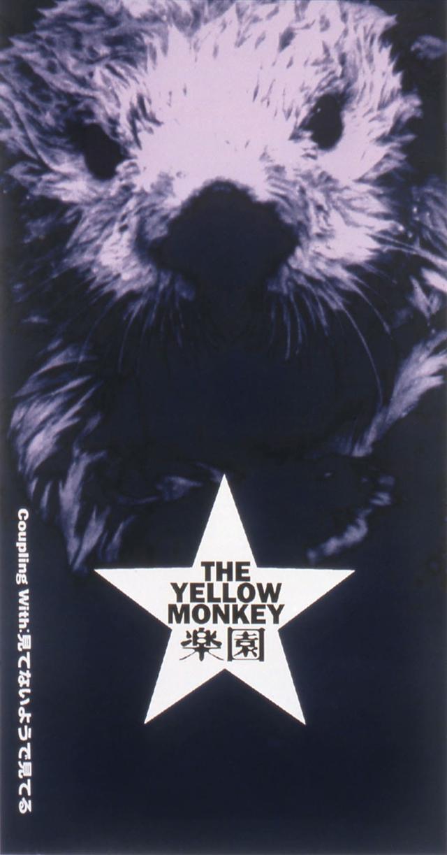 Album cover art for 楽園