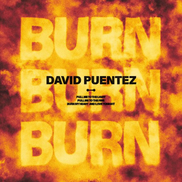Album cover art for Burn