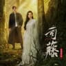 本可以 [影視劇《司藤》主題曲]