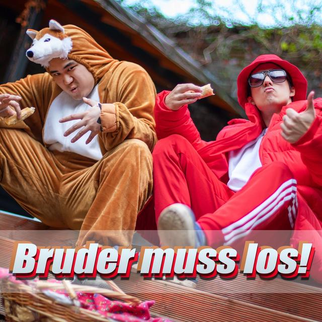 Album cover art for Bruder Muss Los!