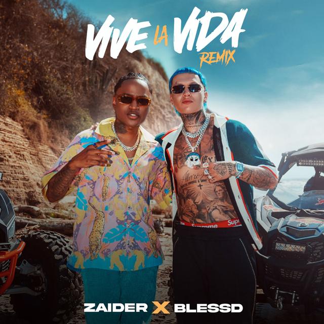 Album cover art for Vive la Vida