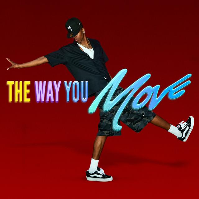 Album cover art for The Way You Move