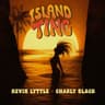 Island Ting