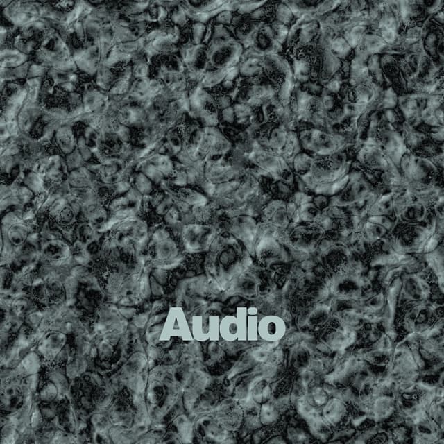 Album cover art for Audio