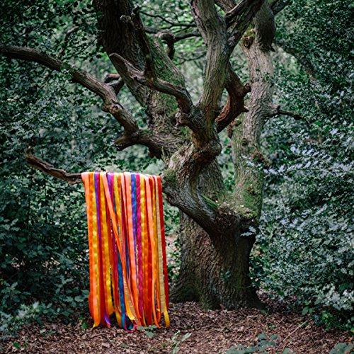 Album cover art for The Animal Spirits