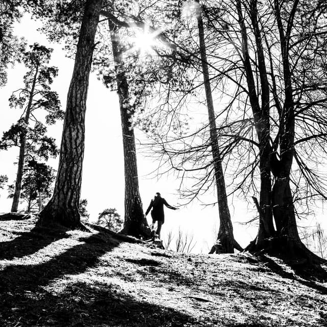 Album cover art for Иволга