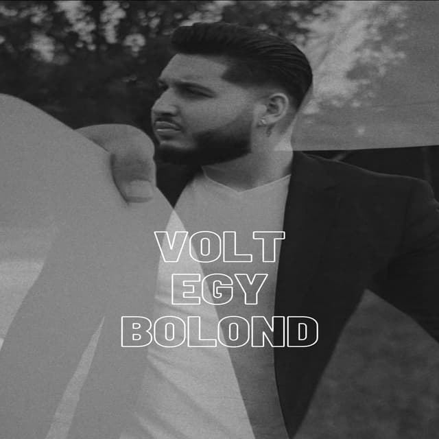 Album cover art for Volt egy bolond