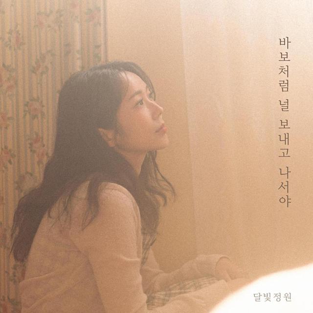 Album cover art for 바보처럼 널 보내고 나서야