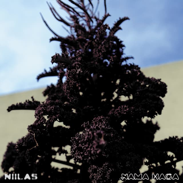 Album cover art for Nama Haga