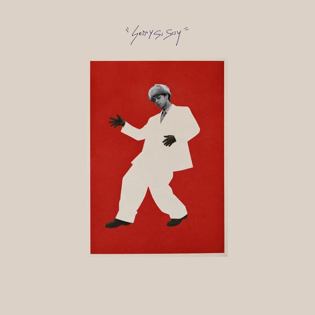 Album cover art for sorry si soy GRRRIS