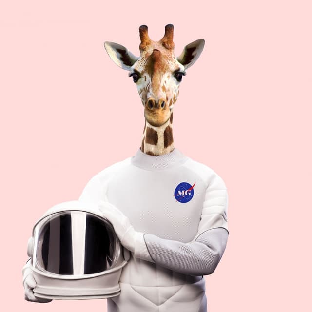 Album cover art for It Was a Joke