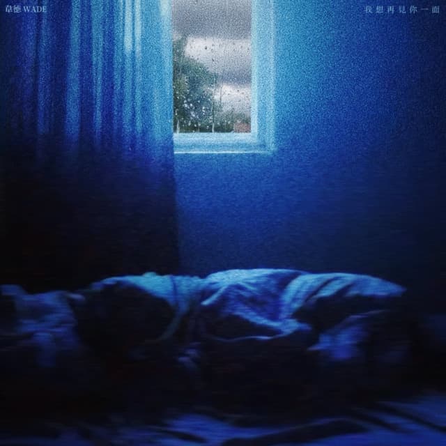 Album cover art for 我想再見你一面
