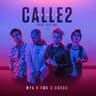 Calle 2