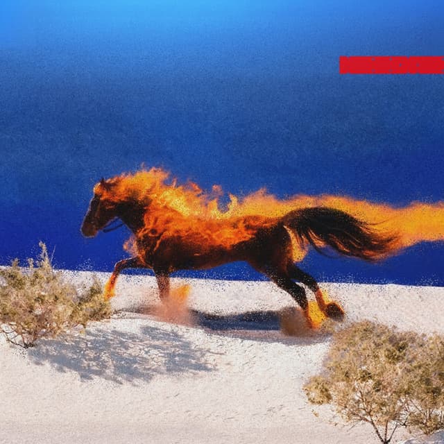Album cover art for DOMO