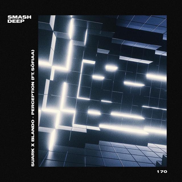 Album cover art for Perception (ft. SÖFIAA)