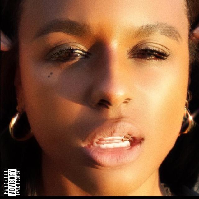 Album cover art for f**k it i'll do it myself