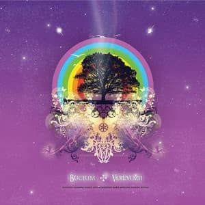 Album cover art for Voievozii
