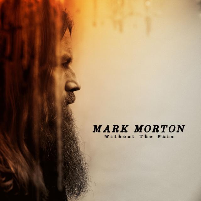 Album cover art for Without The Pain