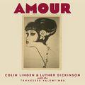 Album cover art for Amour