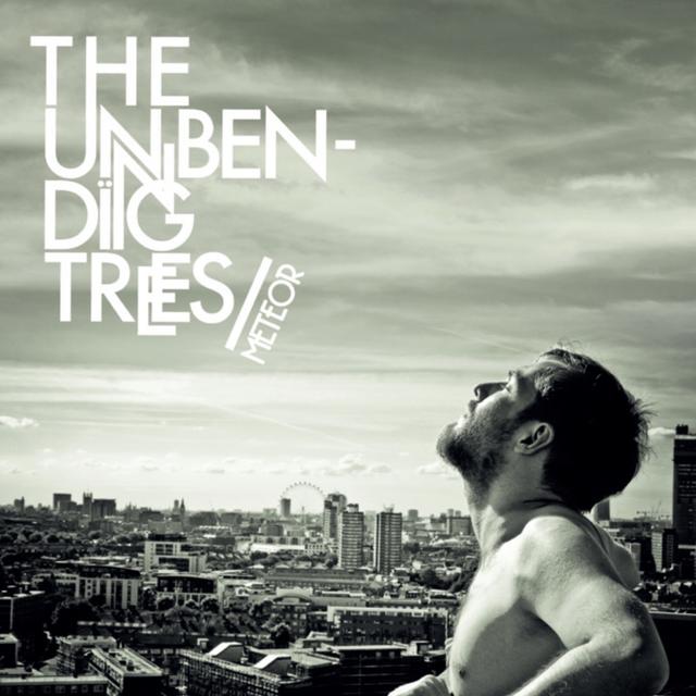 Album cover art for Meteor