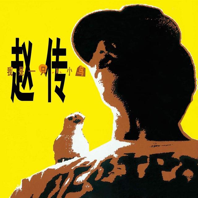 Album cover art for 我是一只小小鸟