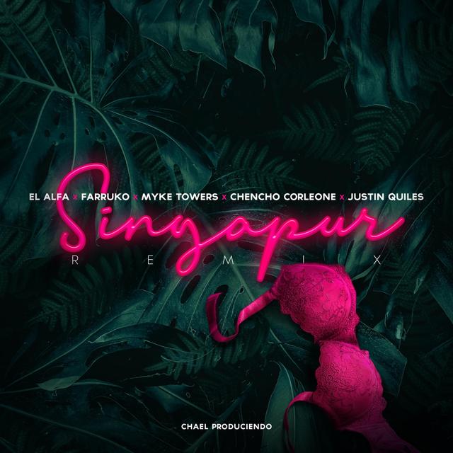 Album cover art for Singapur (Remix)
