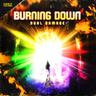 Burning down