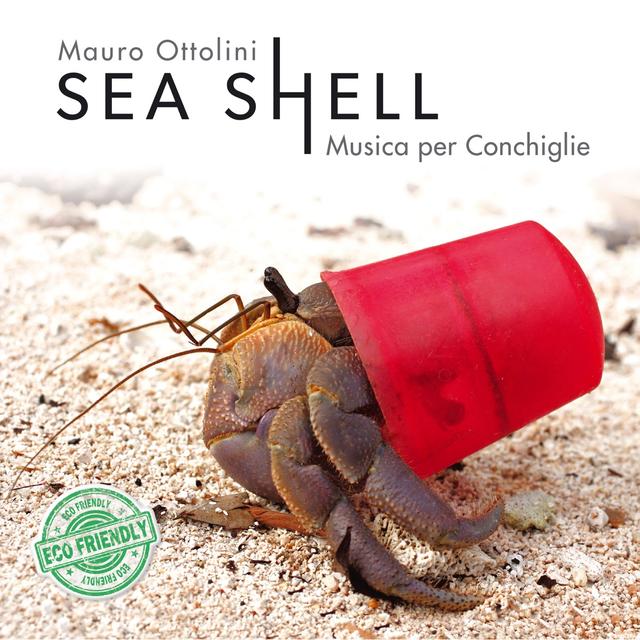Album cover art for Sea Shell - Musica per conchiglie