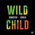 Album cover art for Wild Child