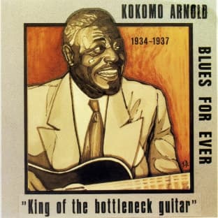 Album cover art for King Of The Bottleneck Guitar