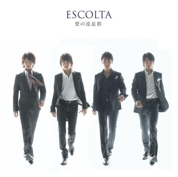 Album cover art for 愛の流星群