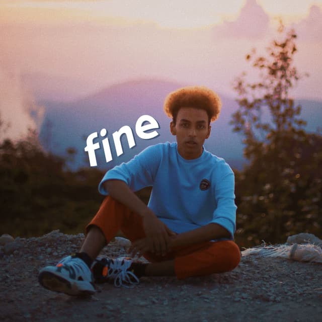 Album cover art for fine