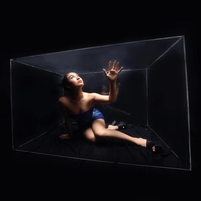Album cover art for Scatterbrain